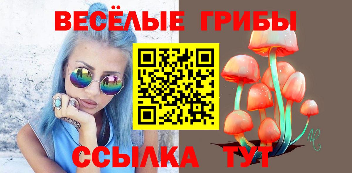 Краснодар  Галлюциногенные грибы MAGIC MUSHROOMS  Вход с VPN  Галлюциногенные грибы прущие грибы 